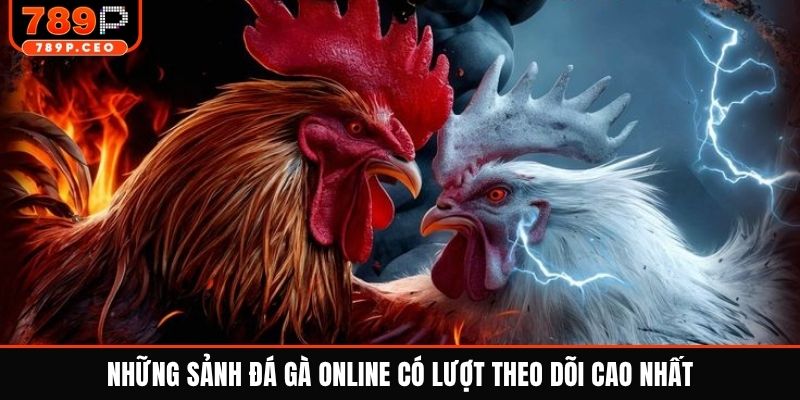 Những sảnh đá gà online có lượt theo dõi cao nhất